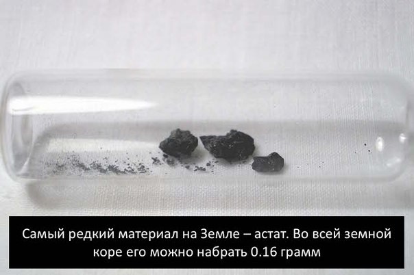 ���������� #2125032