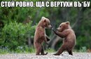 ���������� #2125294