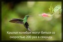 ���������� #2125356