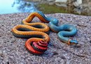 �� ������� ��� ����� � ����� �������� �������� ����������� ����.