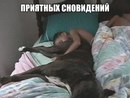 ���������� #2126271