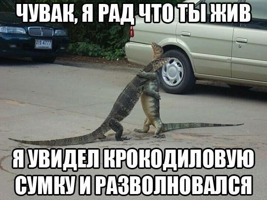 ���������� #2127197