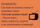 ���������� #2127206