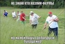 ���������� #2127628
