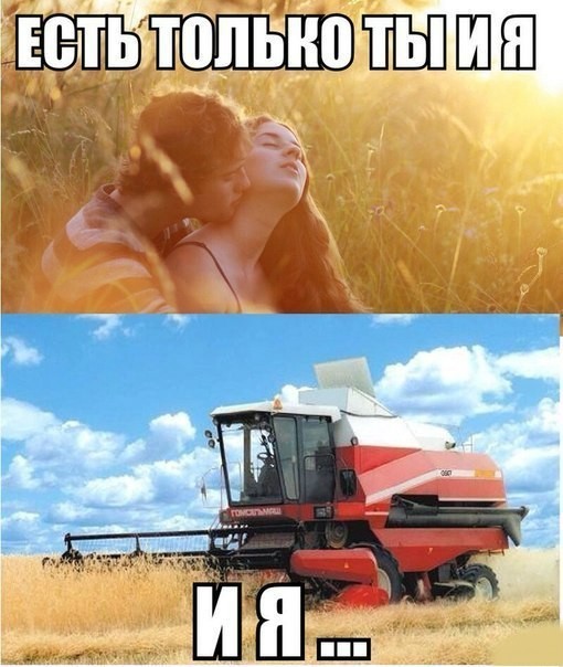 ���������� #2128125
