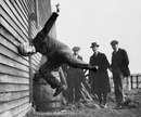 1912 ������������ ������ ��� ������������� �������