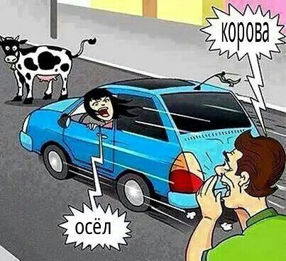���������� #2128412