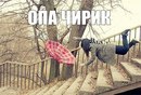 ���������� #2128479