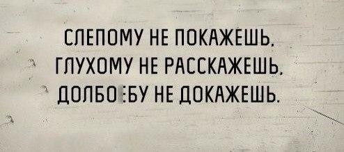 ���������� #2128795