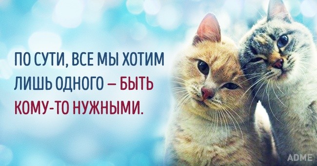 ���������� #2129226