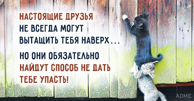 ���������� #2129228