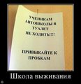 ���������� #2129952