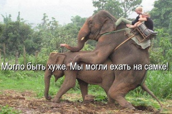 ���������� #2131562