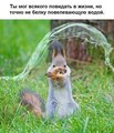 ���������� #2131797