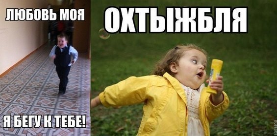 ���������� #2132040
