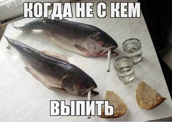 ���������� #2132048