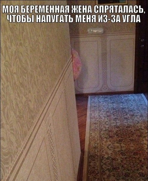 ���������� #2132487