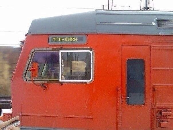 ���������� #2133077