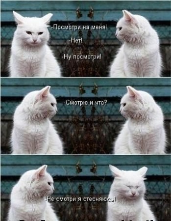 ���������� #2135215