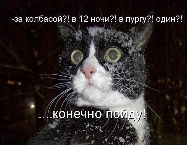 ���������� #2135219