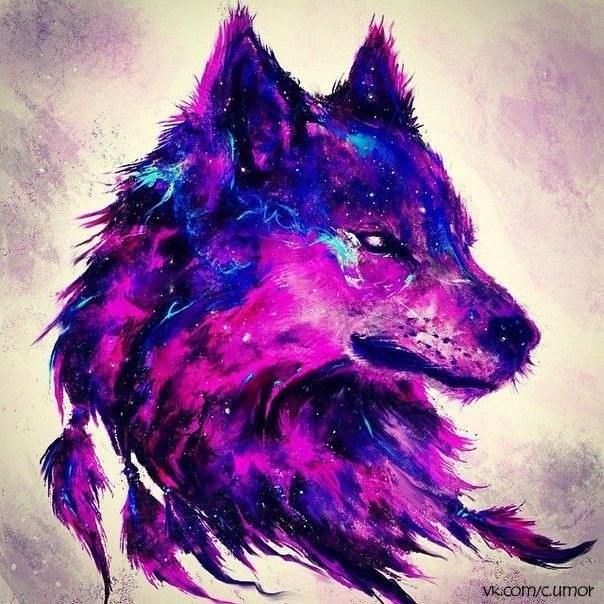 ���������� #2135632
