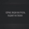 ���������� #2136651