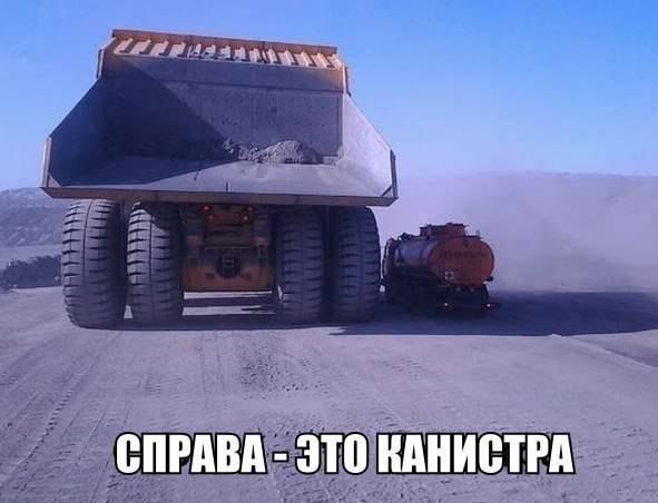 ���������� #2136908