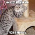 ���������� #2137674