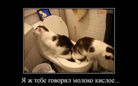 ���������� #2137990
