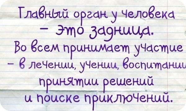 ���������� #2138719