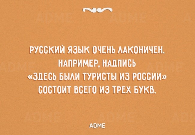 ���������� #2142052