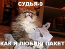 http://www.gwars.io/isk.php?isk_id=179807