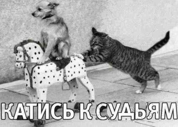 http://www.gwars.io/isk.php?isk_id=179807