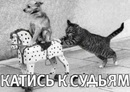 http://www.gwars.io/isk.php?isk_id=179807
