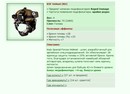 KSF Helmet [RD] [27/69]