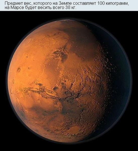 ���������� #2144403