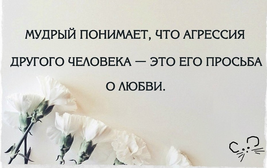 ���������� #2144625