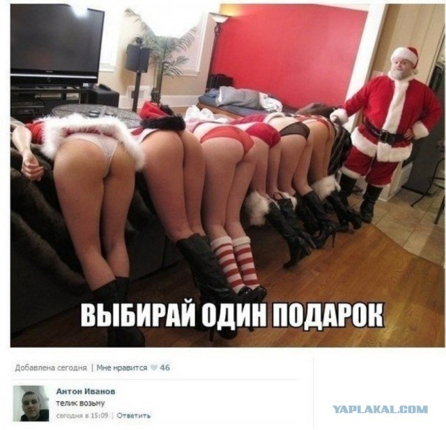 ���������� #2145263