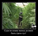 ���������� #2147627