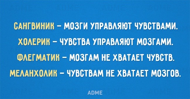���������� #2140811