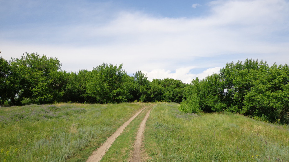 ���������� #2149081