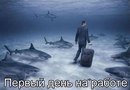���������� #2151819