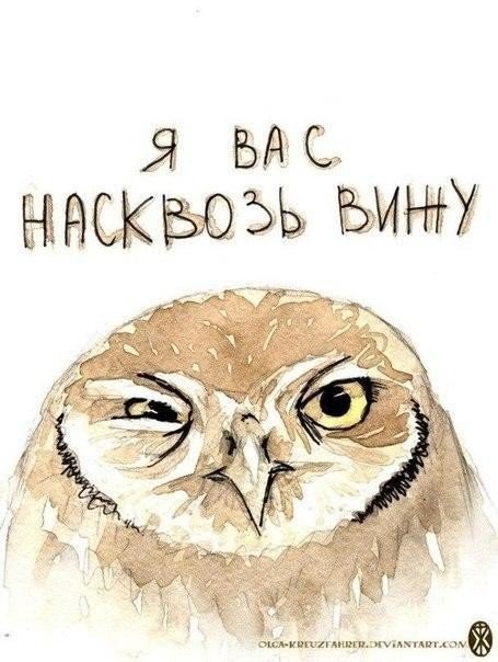 ���������� #2153170