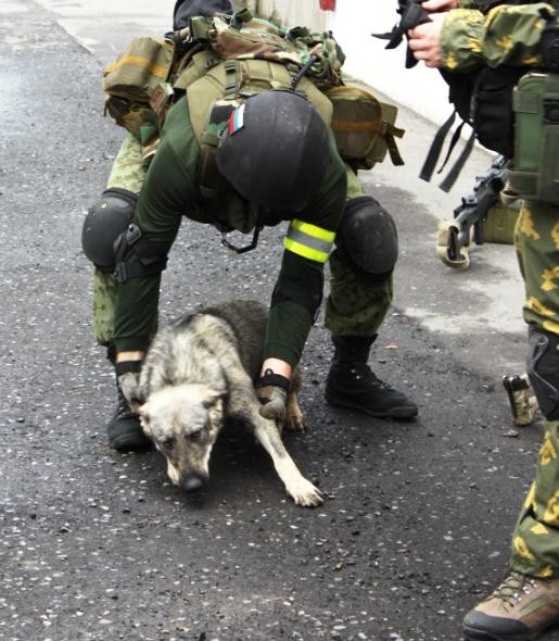 ���������� #2155179