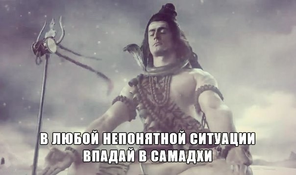 ���������� #2156983