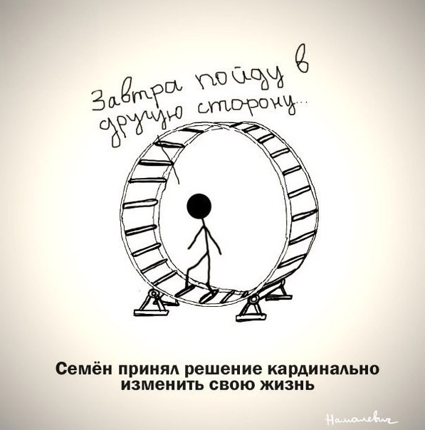 ���������� #2157084