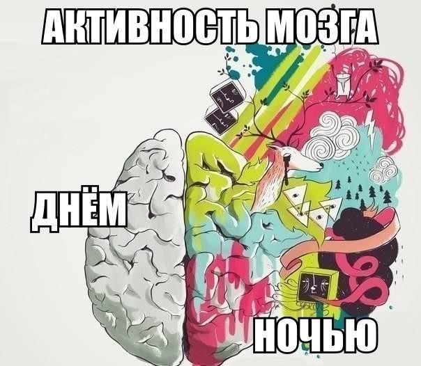 ���������� #2157087