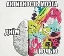 ���������� #2157087