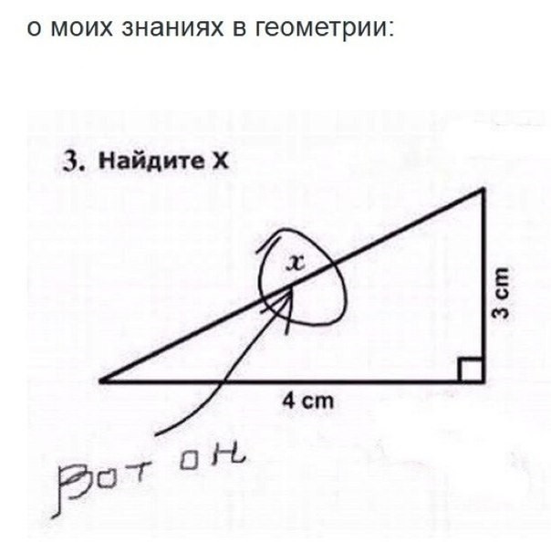 ���������� #2157096