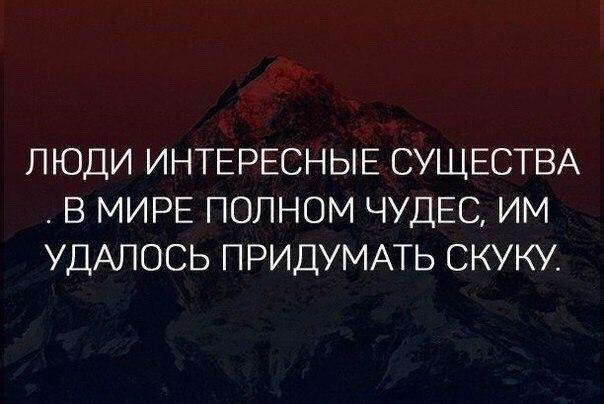���������� #2157114